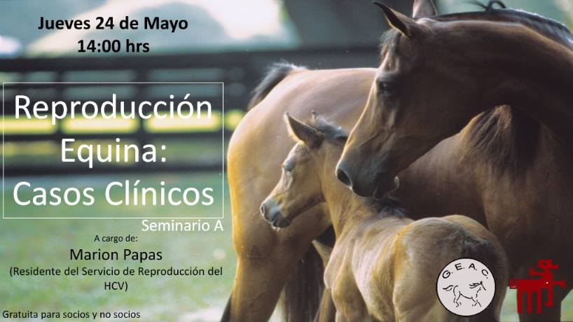 GEAC organitza una xerrada sobre “Reproducció Equina”