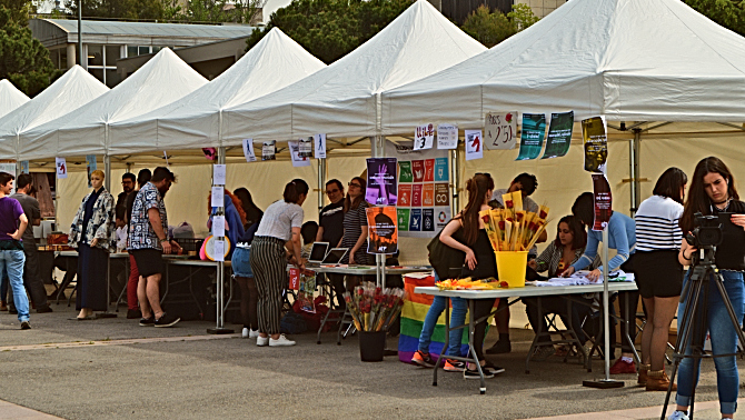 Els col·lectius de la UAB poden escollir en què volen&nbsp;formar-se